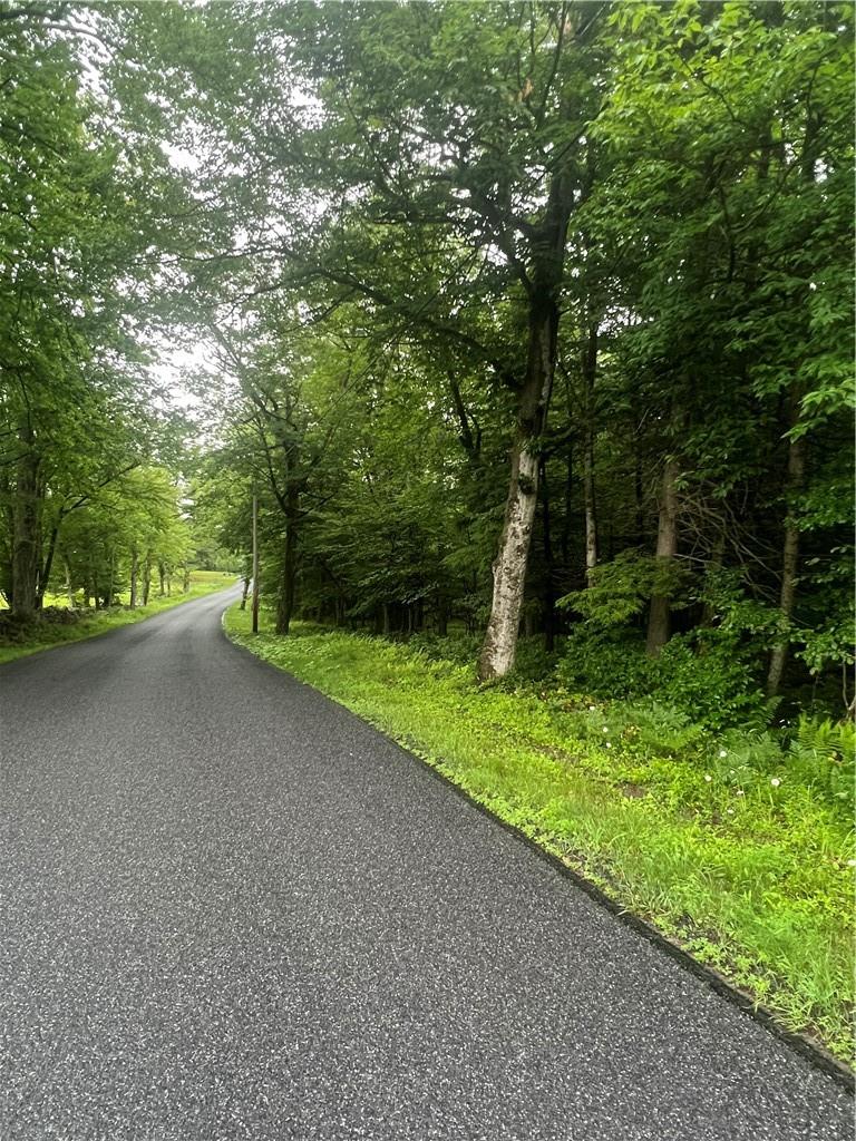 000 E Little Hollow Road Circle, Grahamsville, New York image 13