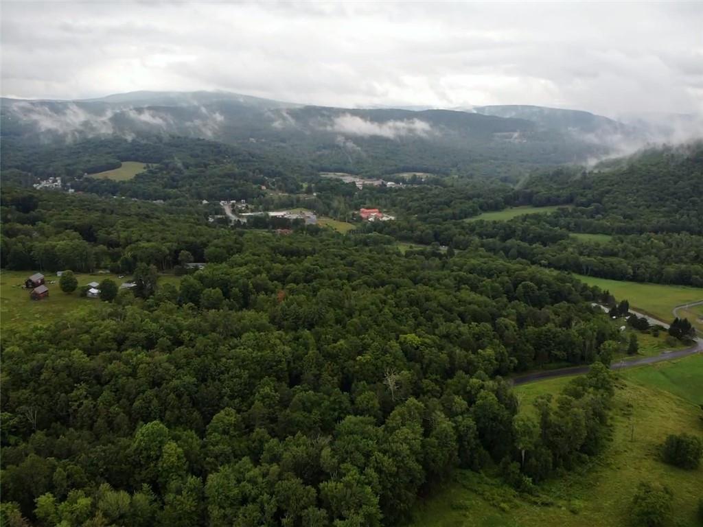 000 E Little Hollow Road Circle, Grahamsville, New York image 15