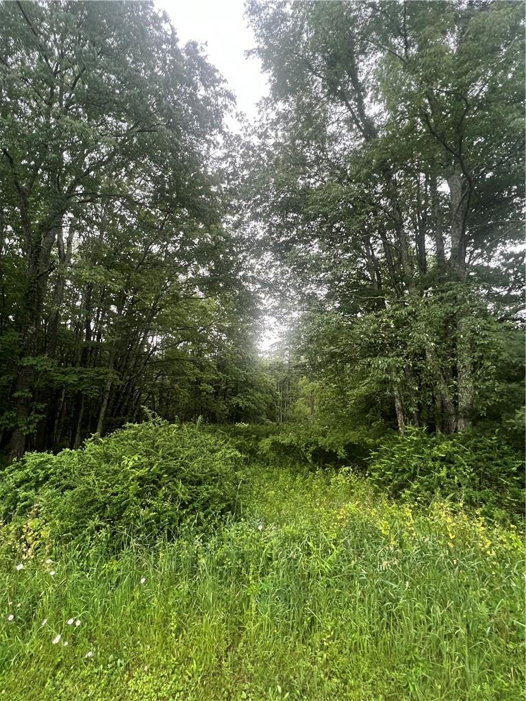 000 E Little Hollow Road Circle, Grahamsville, New York image 9