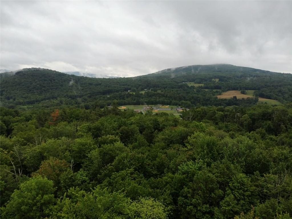 000 E Little Hollow Road Circle, Grahamsville, New York image 17