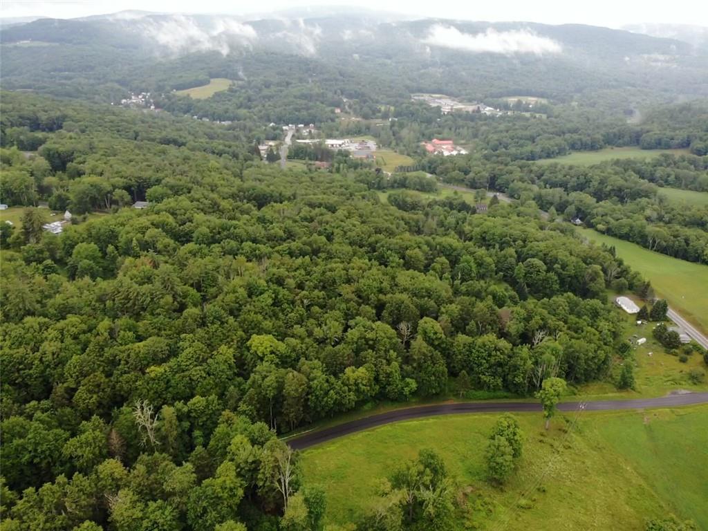 000 E Little Hollow Road Circle, Grahamsville, New York image 1