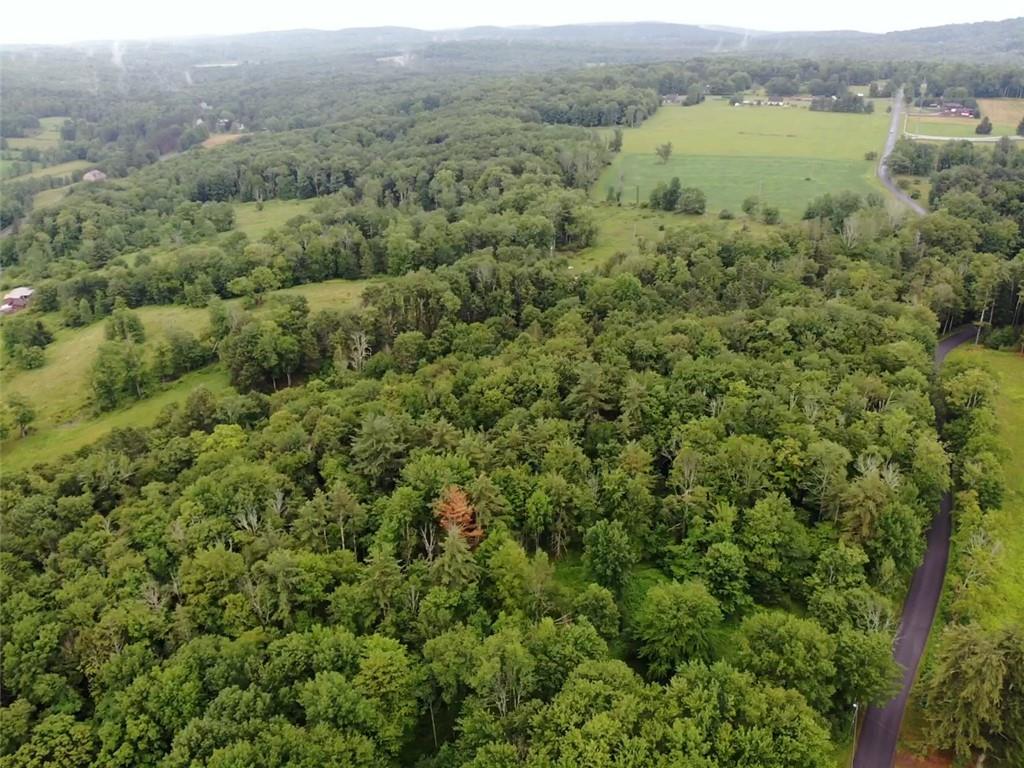 000 E Little Hollow Road Circle, Grahamsville, New York image 16