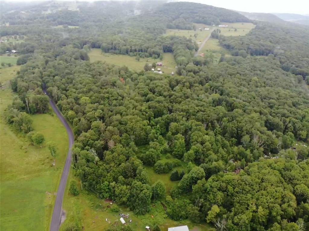 000 E Little Hollow Road Circle, Grahamsville, New York image 19