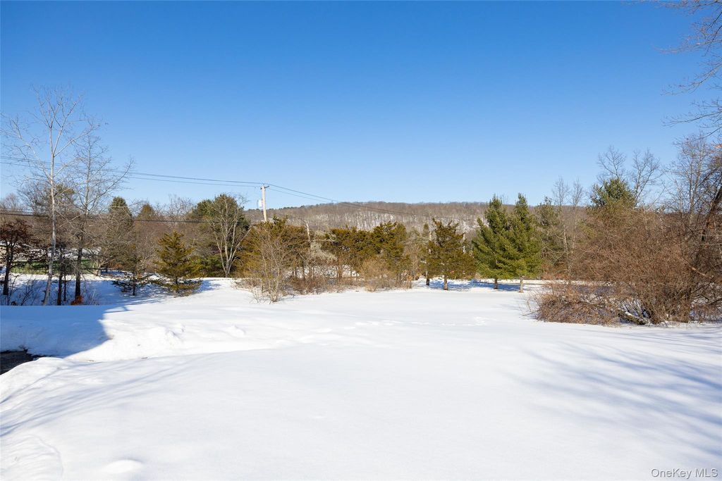 Photo of 73 Meusel Road, Pine Plains, NY 12567 (MLS # 966036)