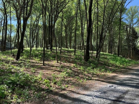 Vacant Land For Sale - Lakeview Drive<br/> Pawling, NY 12564