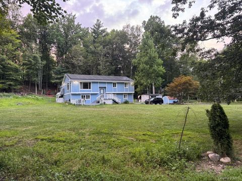 Homes For Sale - 20 Patrick Drive<br/> Bloomingburg, NY 12721