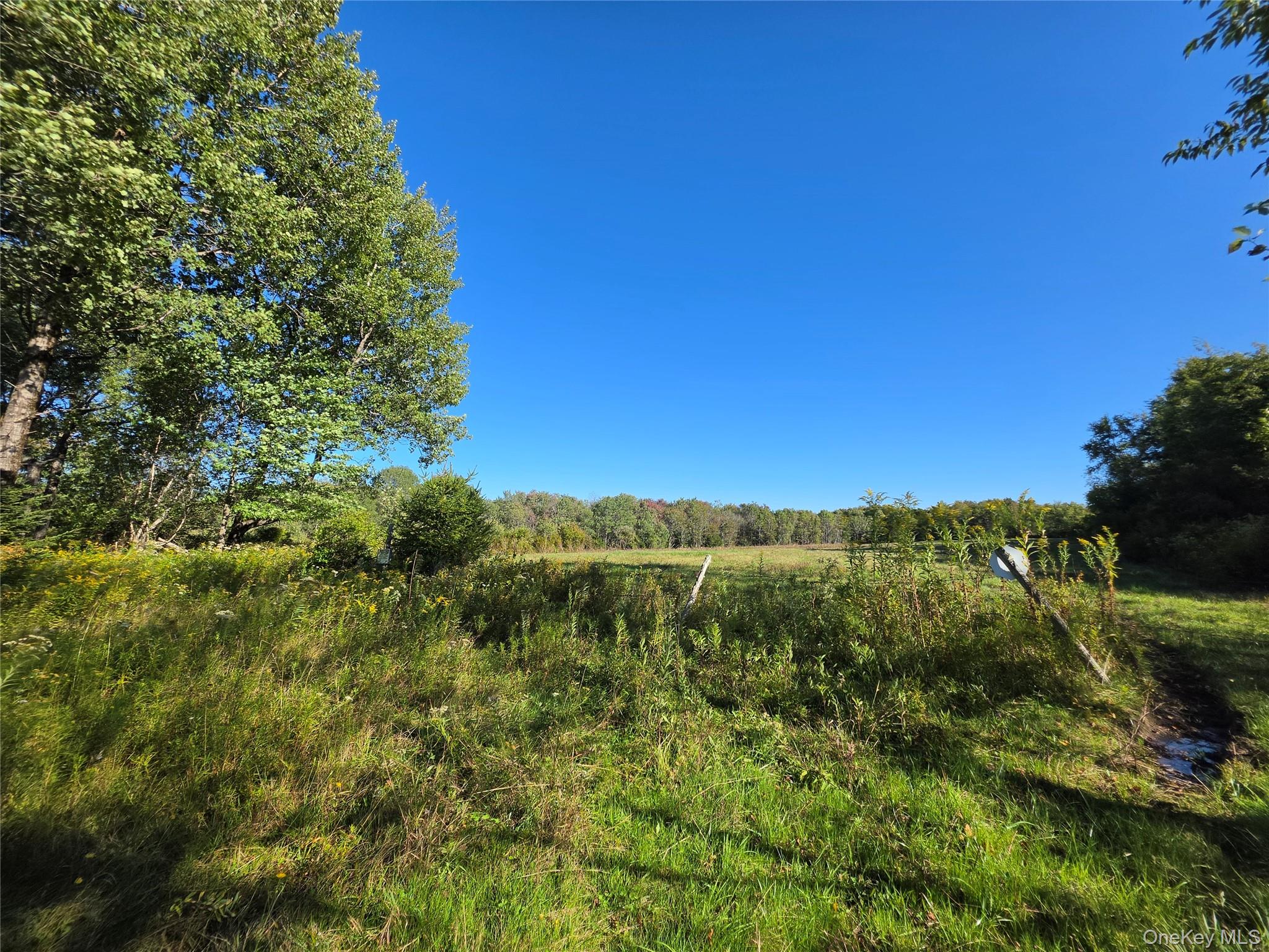 TBD Lily Pond Road