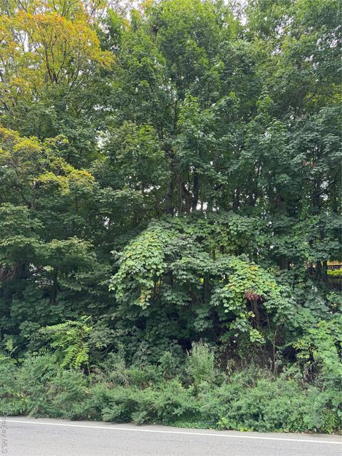 Vacant Land For Sale - 1605 Crompond Road<br/> Peekskill, NY 10566