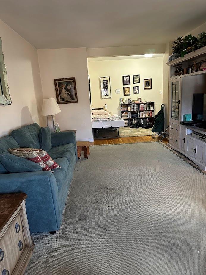 11 Wooleys Lane #3A, Great Neck, New York image 6