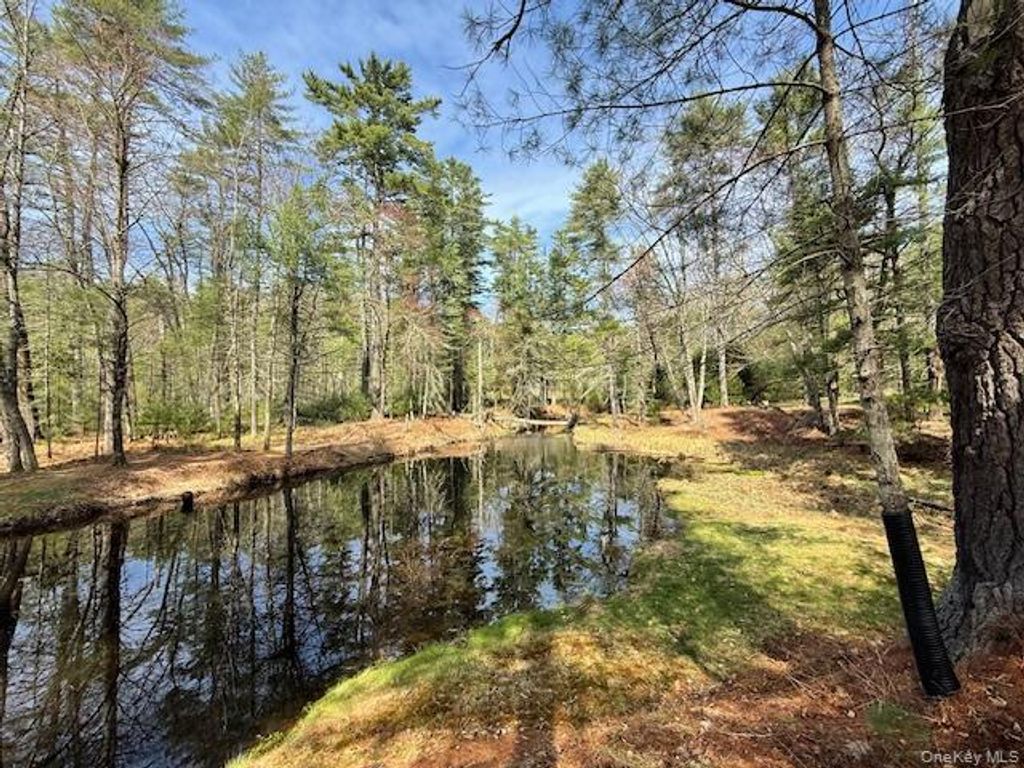 Photo of 20 Reber Road, Eldred, NY 12732 (MLS # 980409)