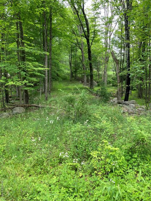 Vacant Land For Sale - 287 Church Road<br/> Wallkill, NY 12566