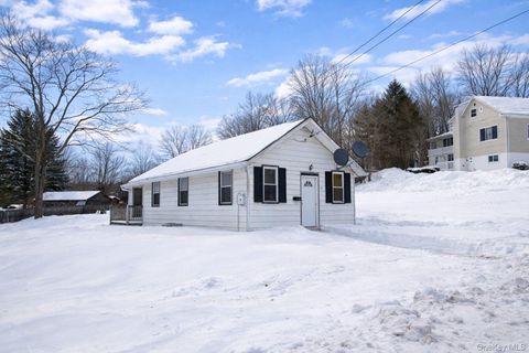 24 Albion Street Liberty NY 12754