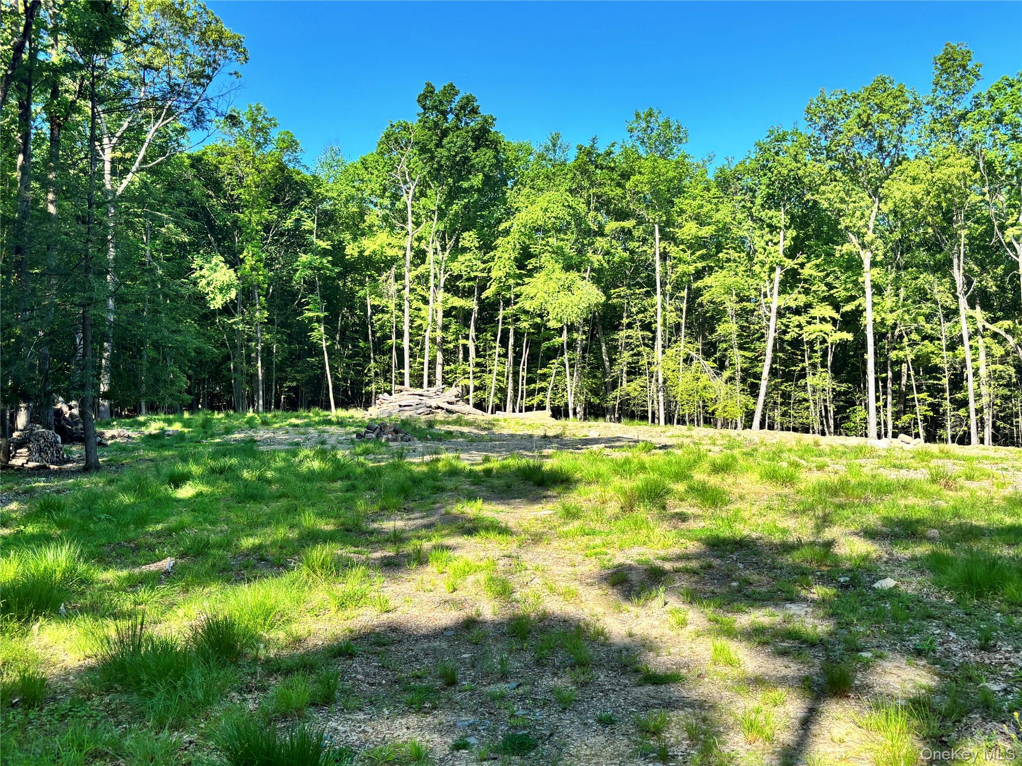 South Plank Road