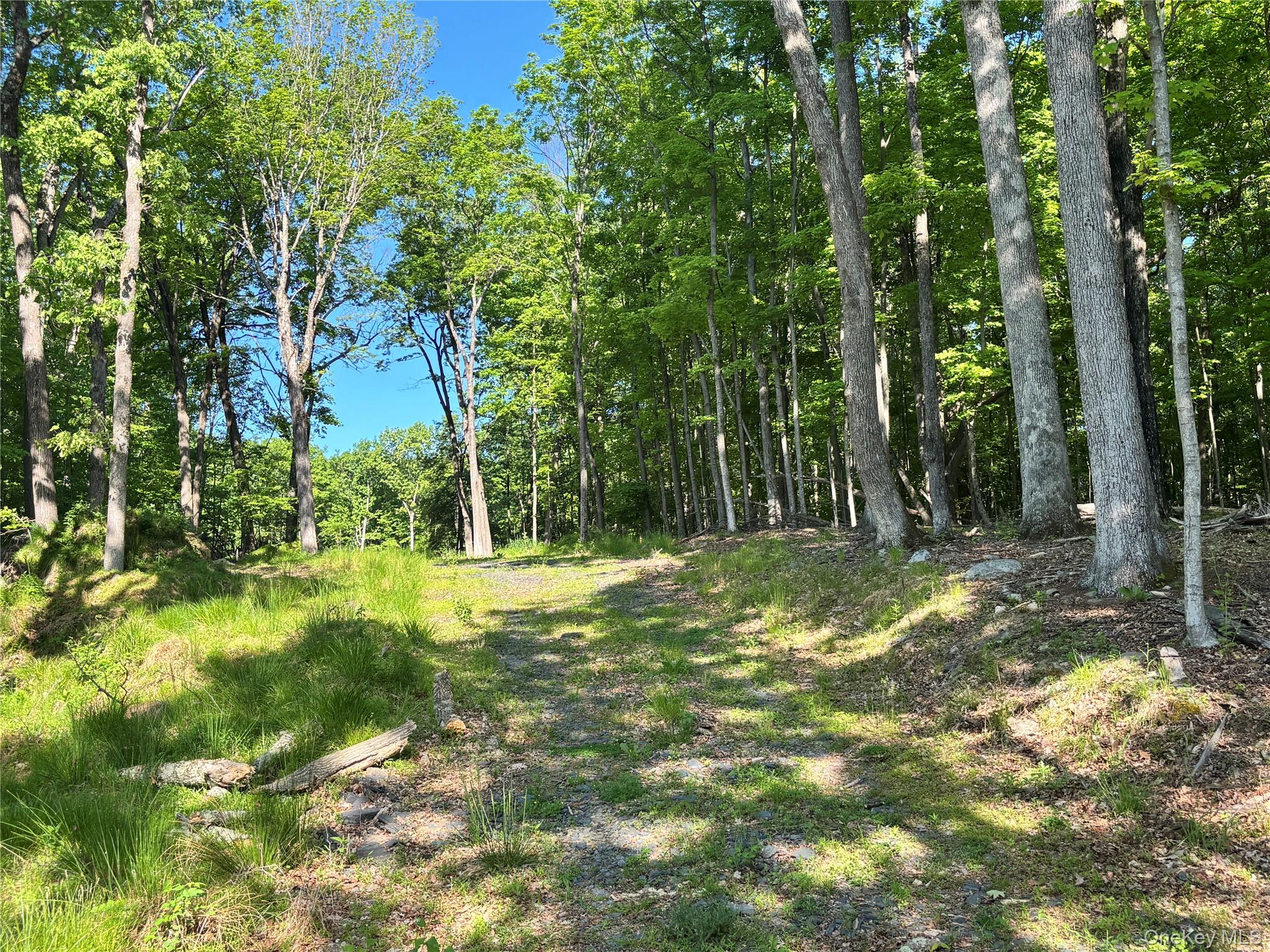 South Plank Road