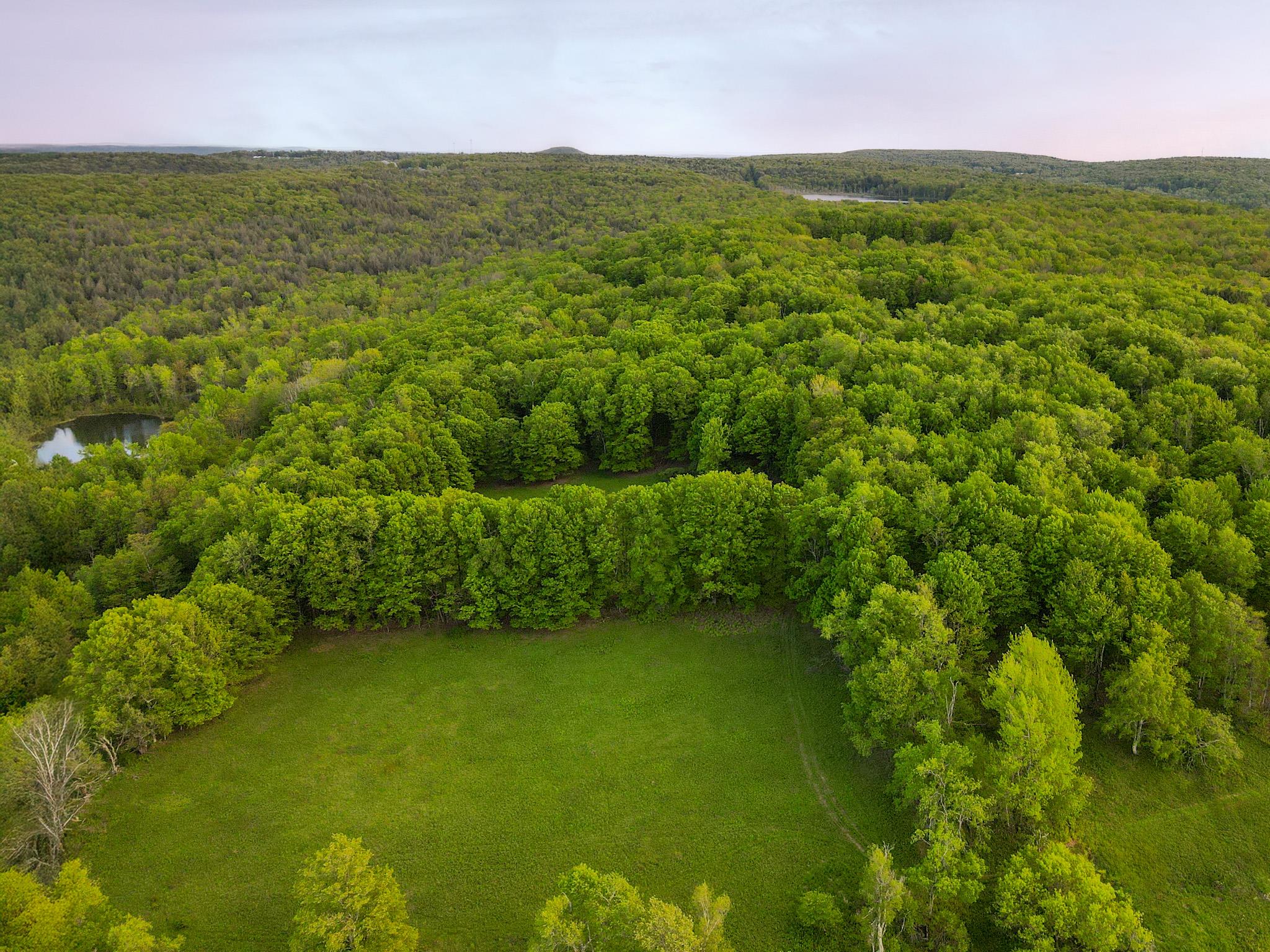 1 Snow Hill Road, Parksville, New York image 6