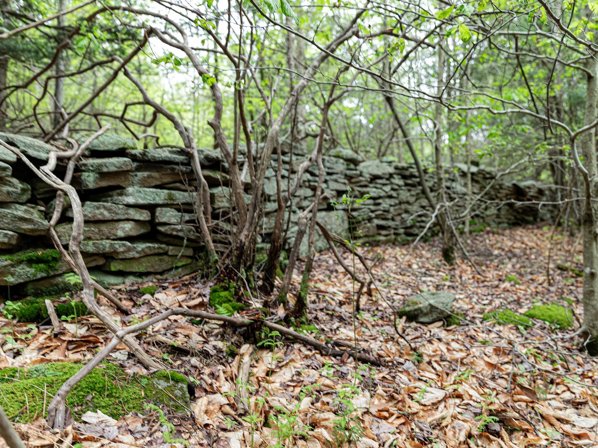 1 Snow Hill Road, Parksville, New York image 17