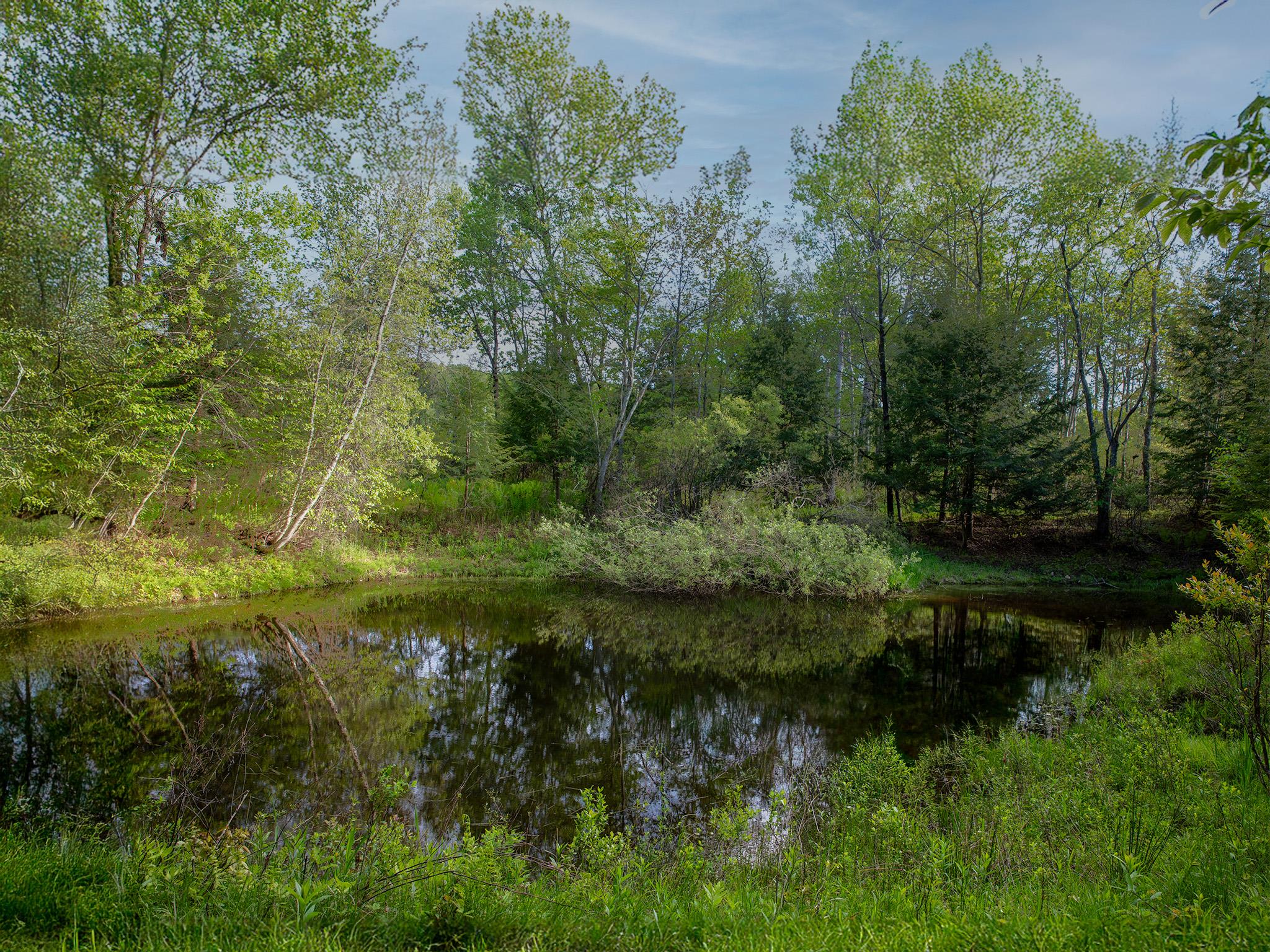 1 Snow Hill Road, Parksville, New York image 19