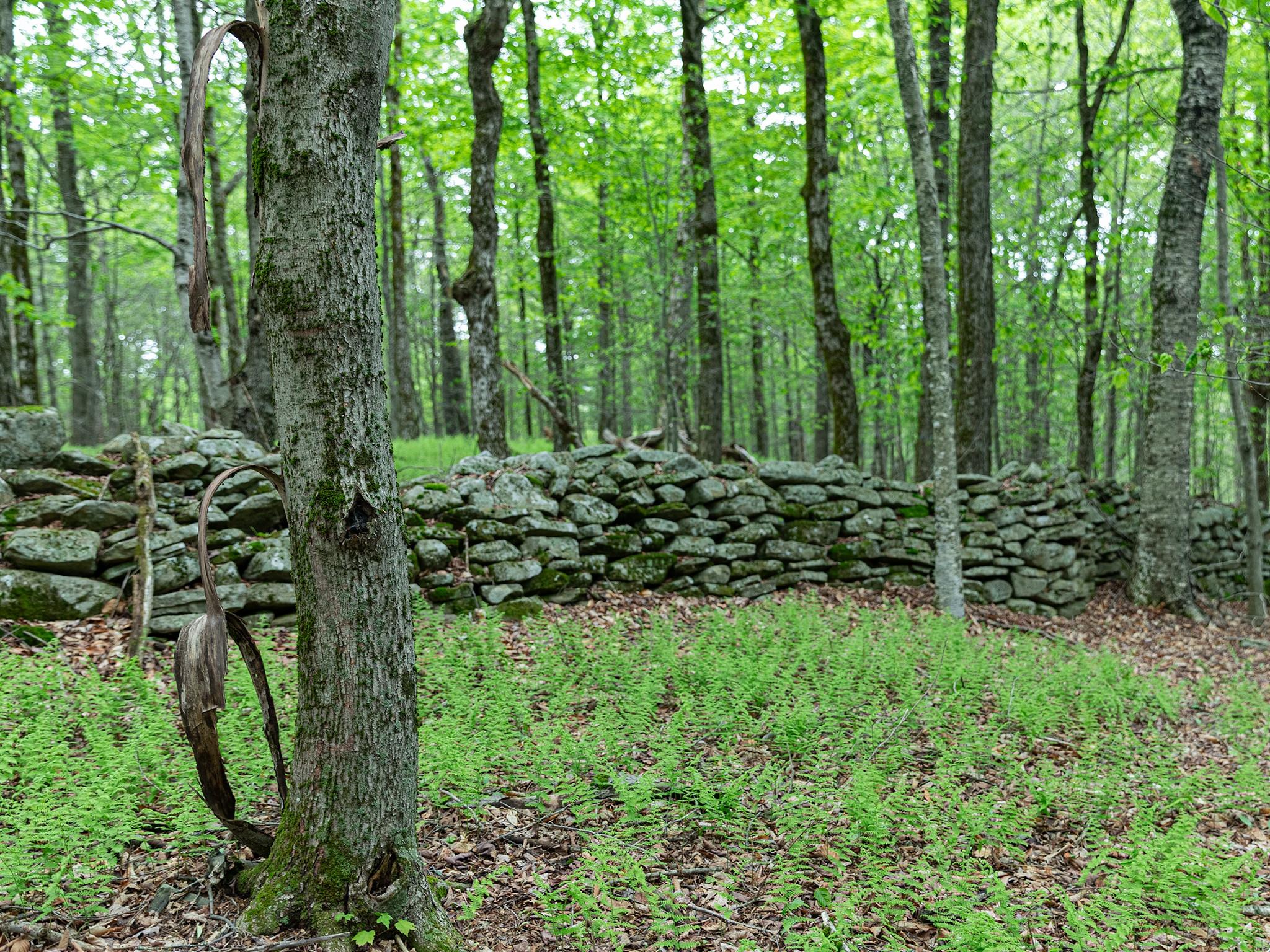 1 Snow Hill Road, Parksville, New York image 11