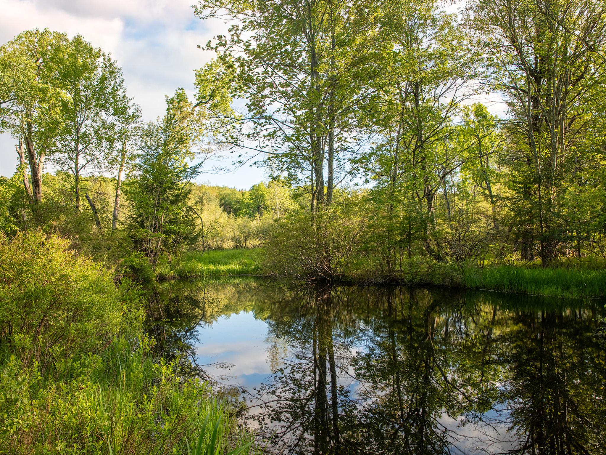1 Snow Hill Road, Parksville, New York image 10