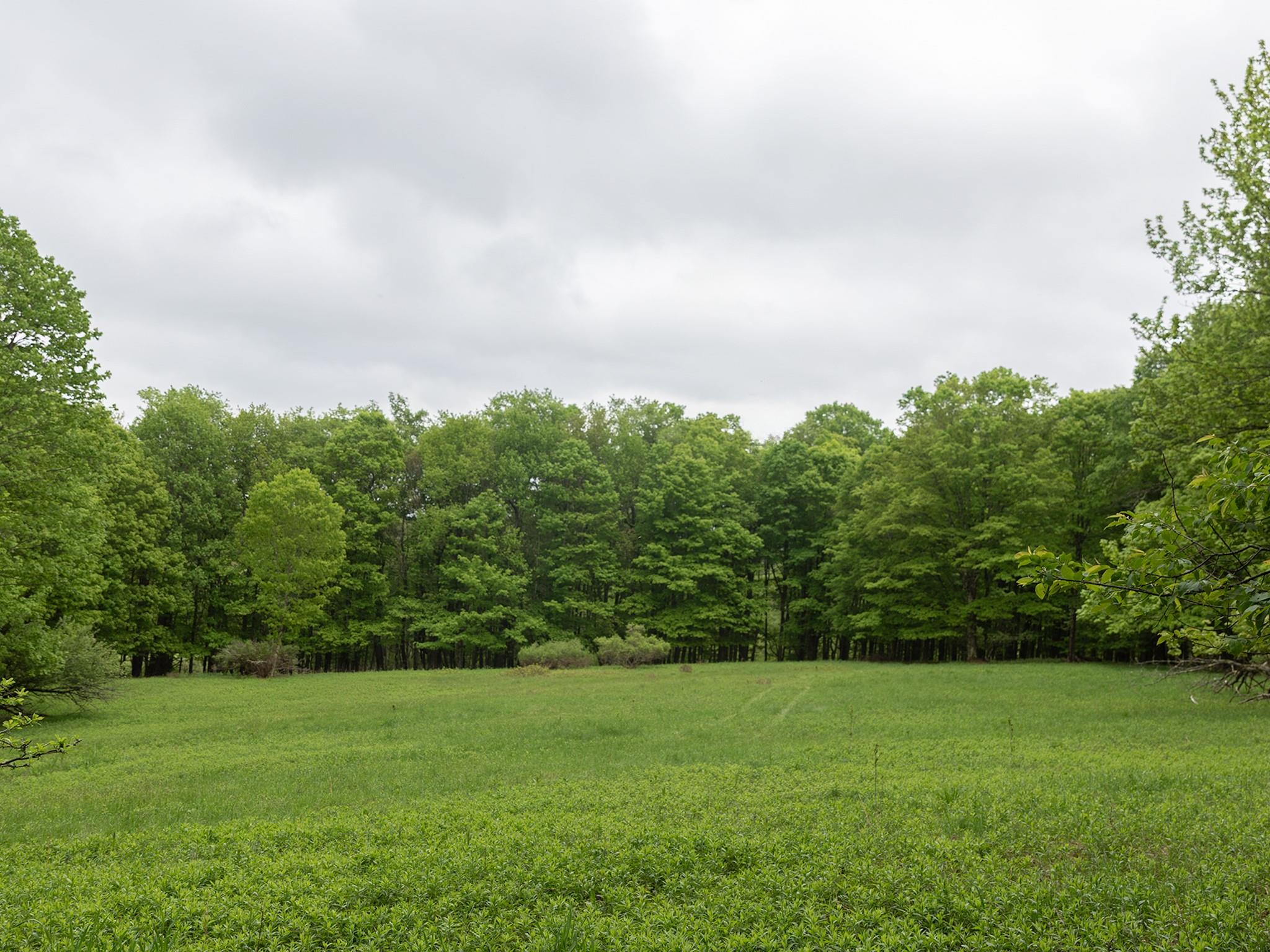1 Snow Hill Road, Parksville, New York image 21