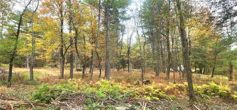 Kukas Road Monticello NY 12701