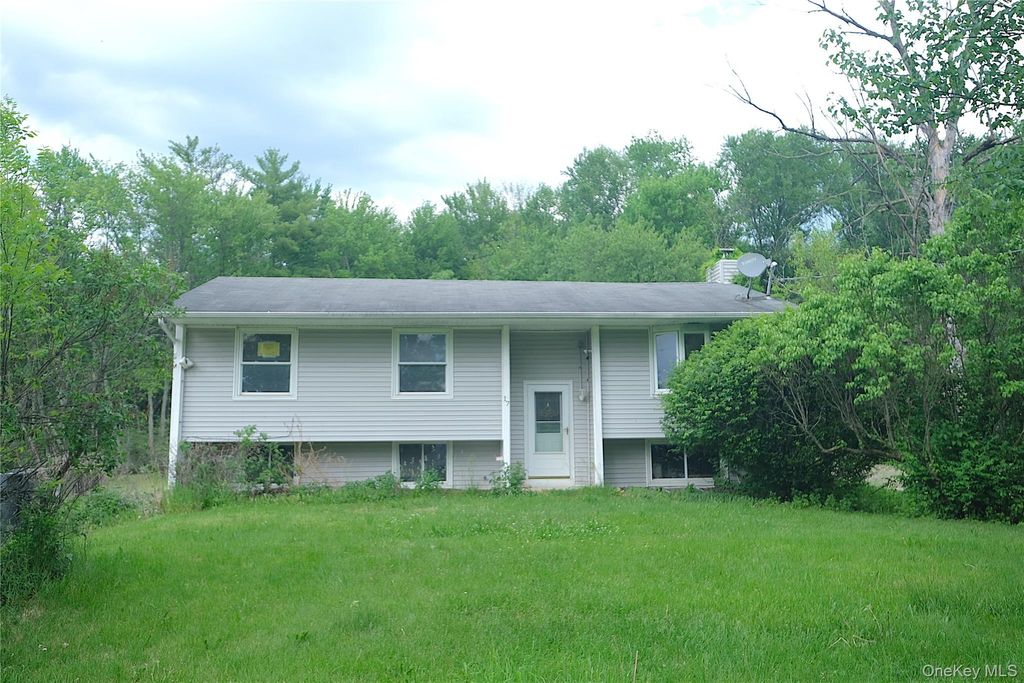 Photo of 17 Roosevelt Road, Hyde Park, NY 12538 (MLS # 1003110)