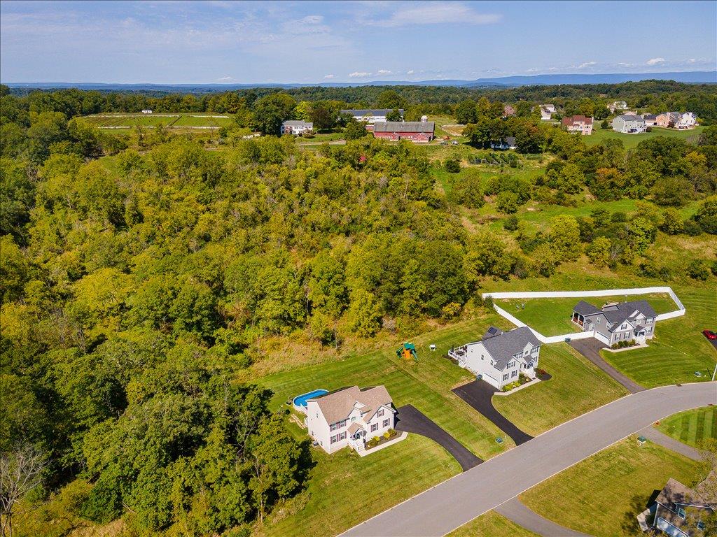 13 Hopkins Court, Washingtonville, New York image 19