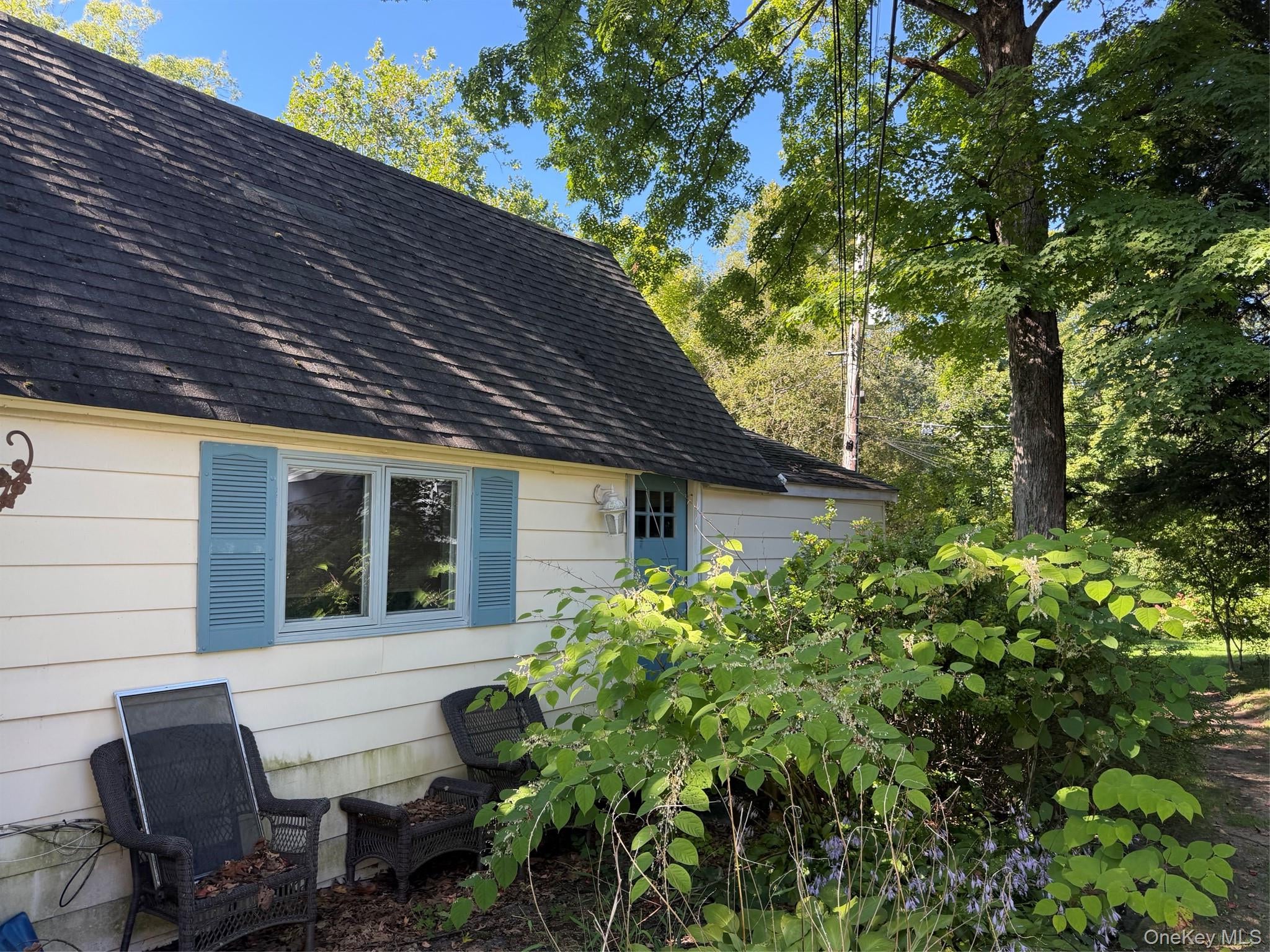 54 Campwoods Ground
