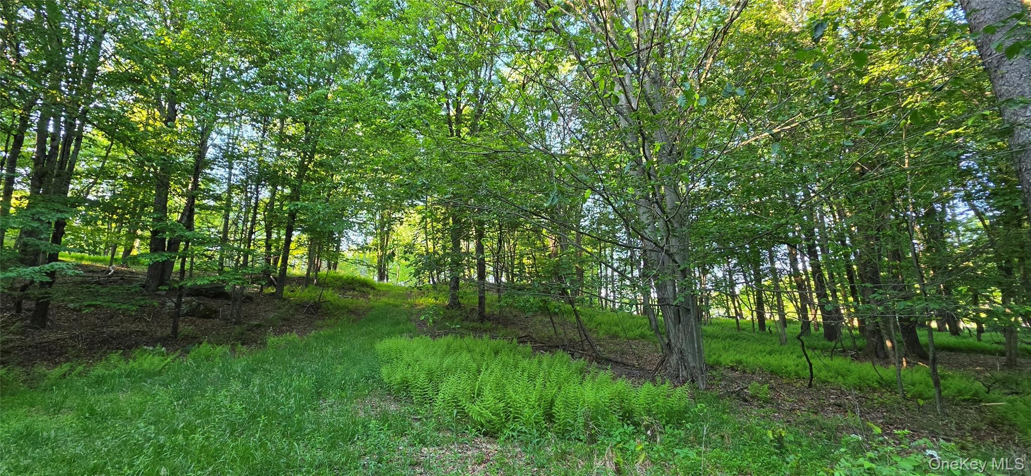 Lot 1.35 W Shore Road