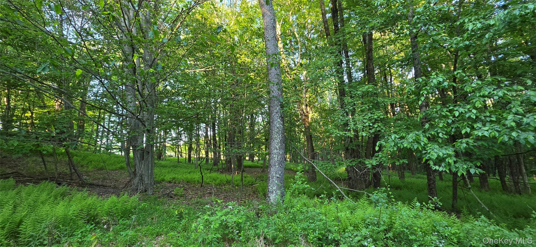 Lot 1.35 W Shore Road