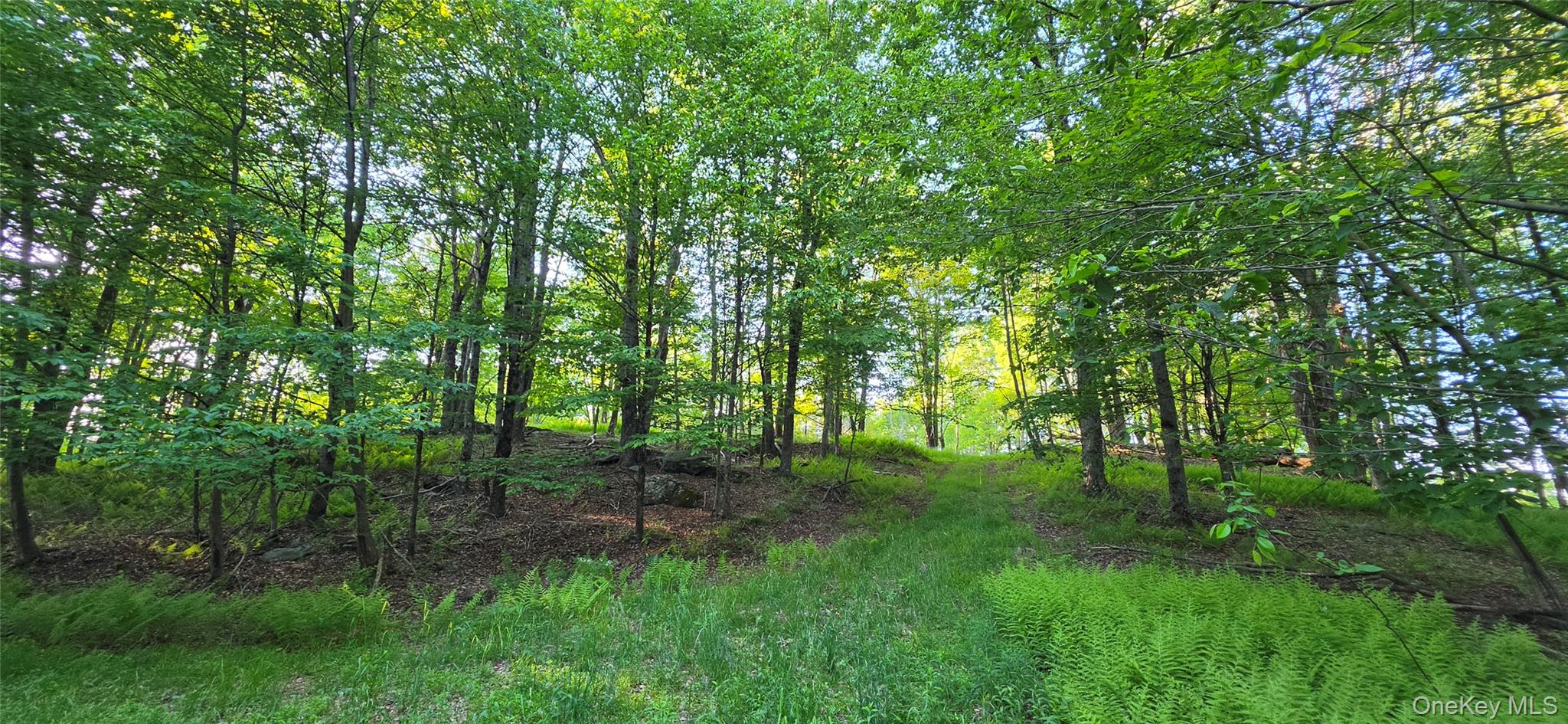 Lot 1.35 W Shore Road