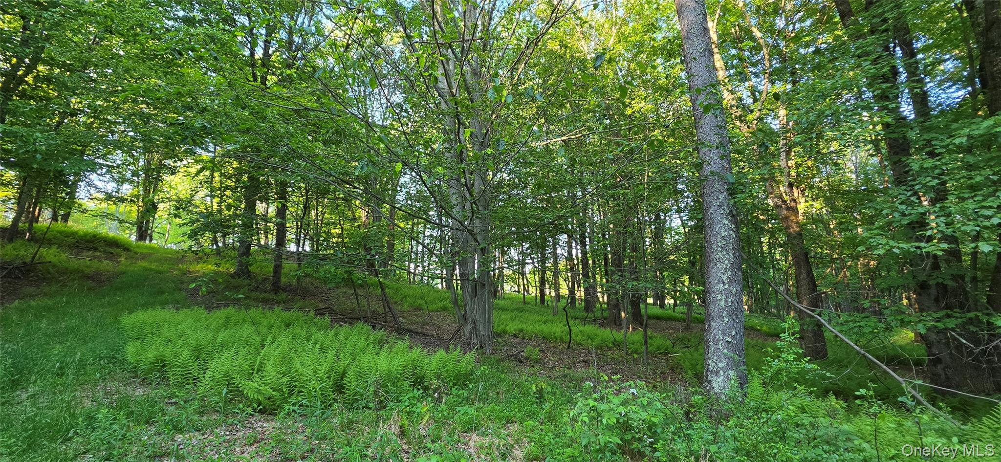 Lot 1.35 W Shore Road