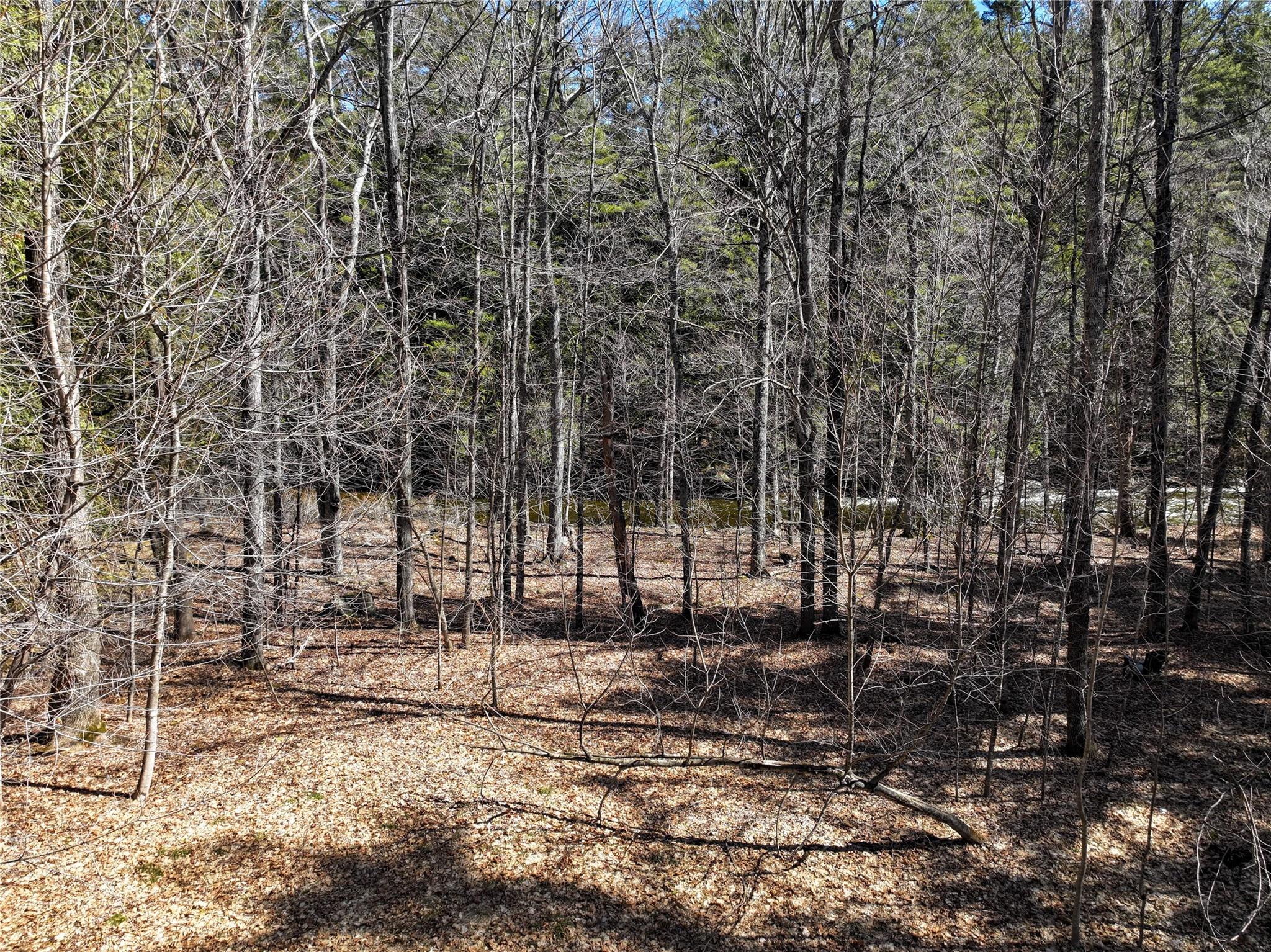 1794 Nys Route 73, Call Listing Agent, New York image 43