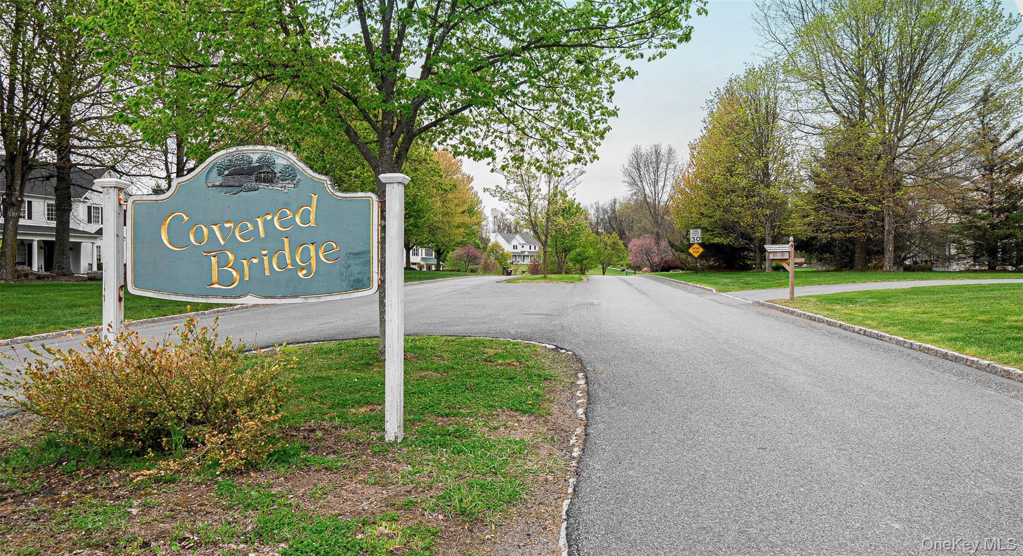 41 Wilhelm Drive