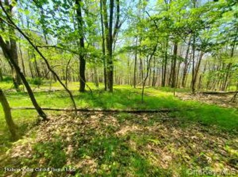 Photo of TBD Piney Lane, Cragsmoor, NY 12420 (MLS # 990009)