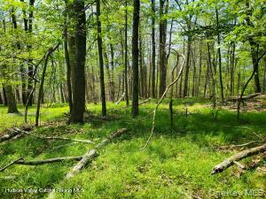 TBD Piney Lane