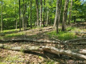 TBD Piney Lane