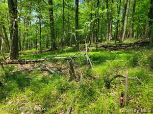 TBD Piney Lane