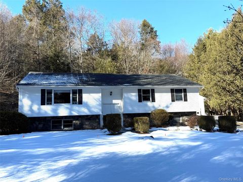 Multifamily For Sale - 3481 Route 22<br/> Dover Plains, NY 12522