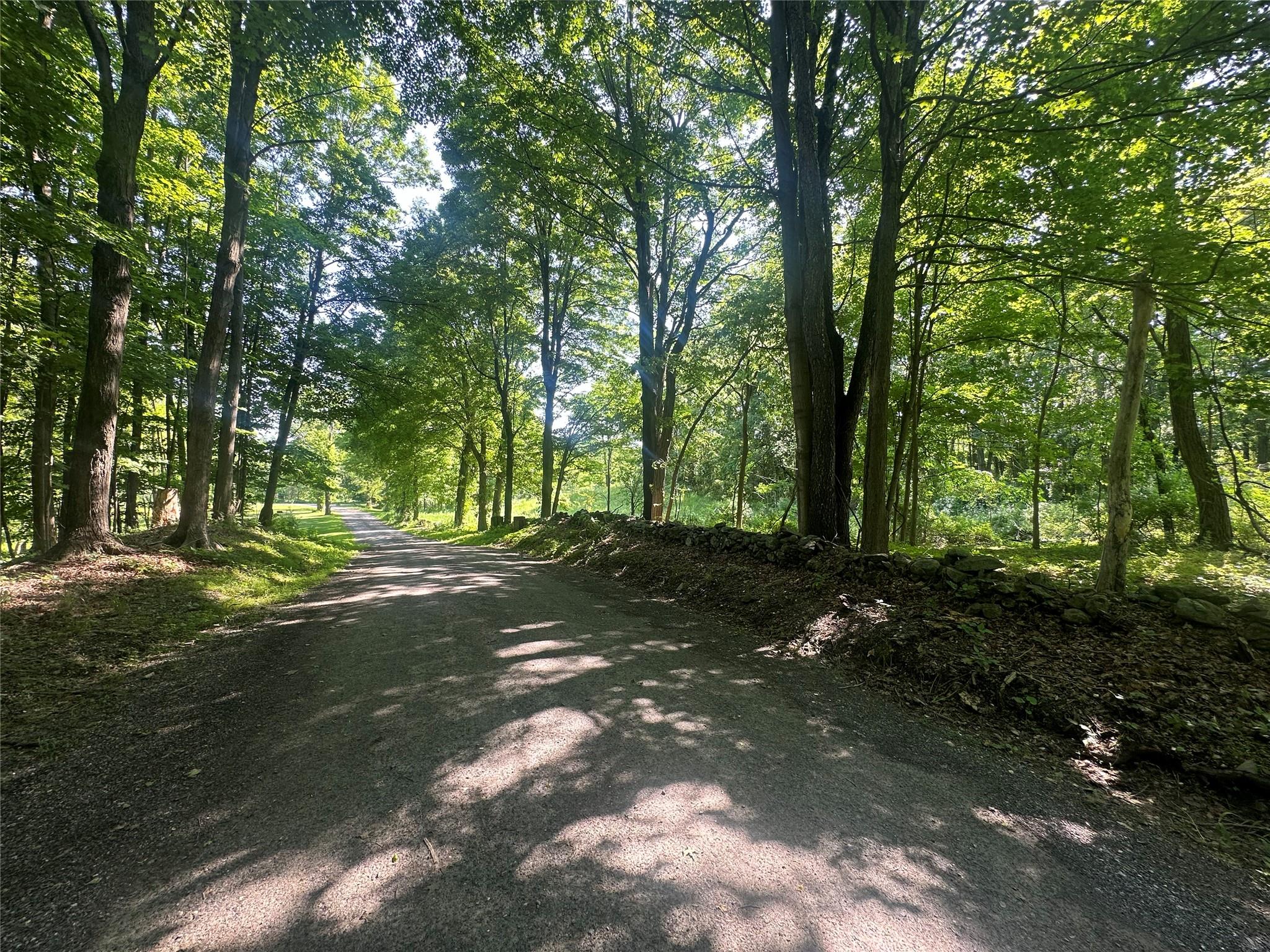 Off Pleasant Vale Road, Tivoli, New York image 8