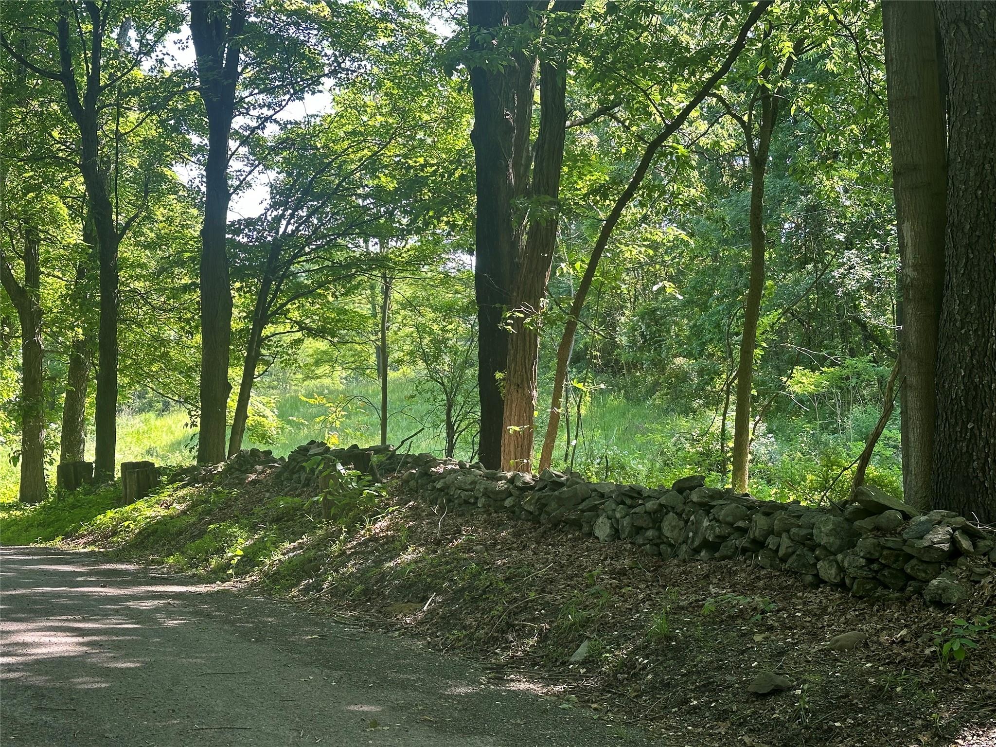 Off Pleasant Vale Road, Tivoli, New York image 7