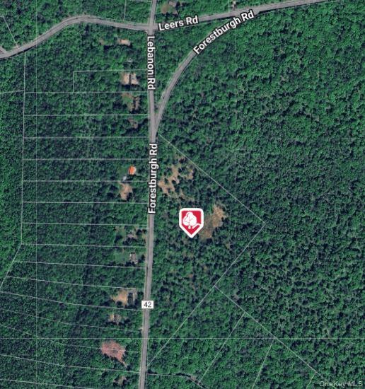 1131 Forestburgh Road