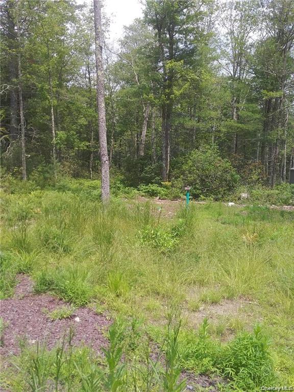 1131 Forestburgh Road