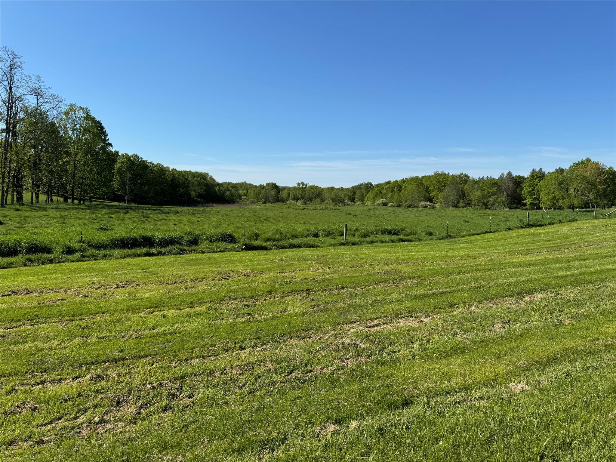 TBD Parcel 5 Woodstock Road, Millbrook, New York image 3