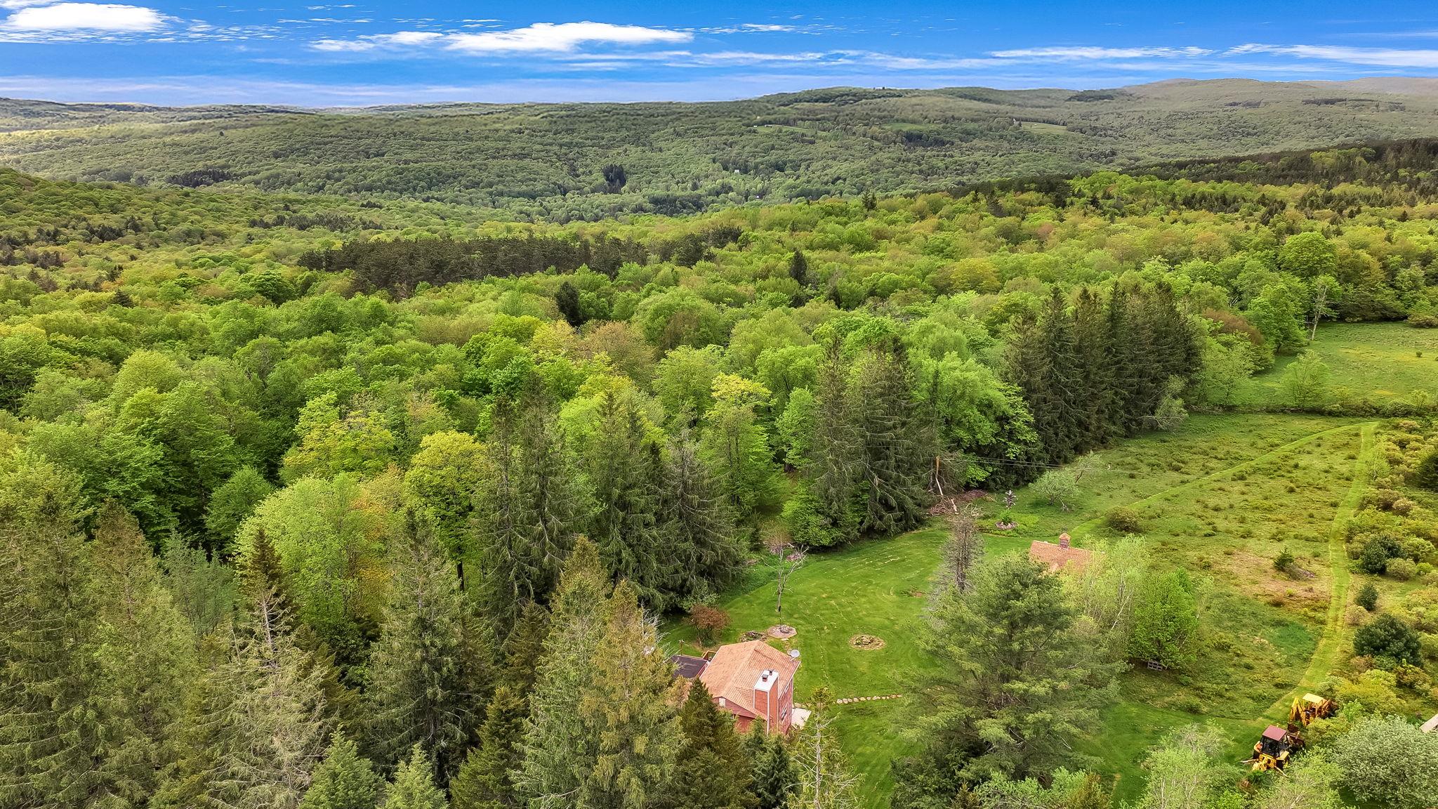 85 Woodard Road, Parksville, New York image 4