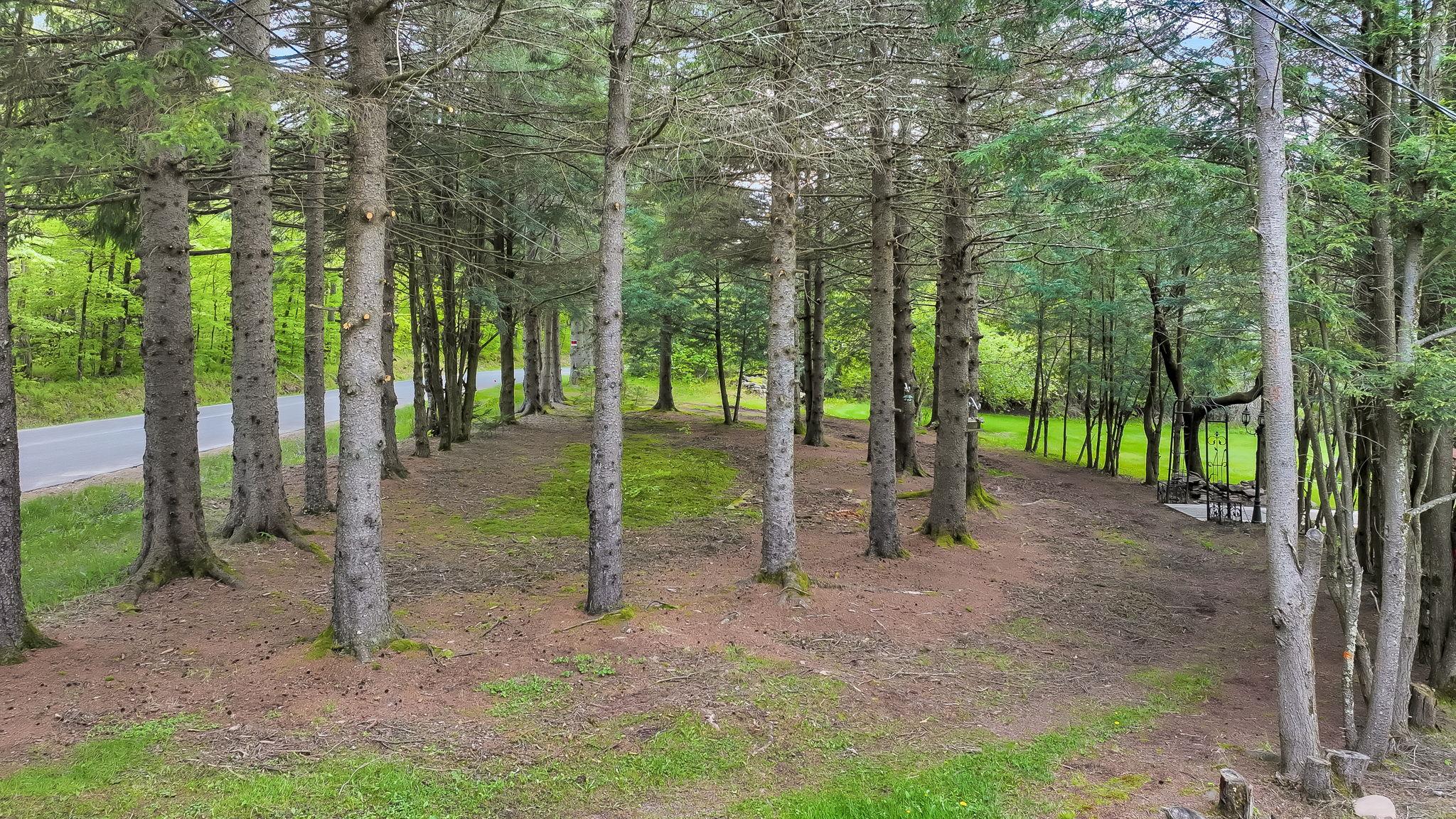 85 Woodard Road, Parksville, New York image 9