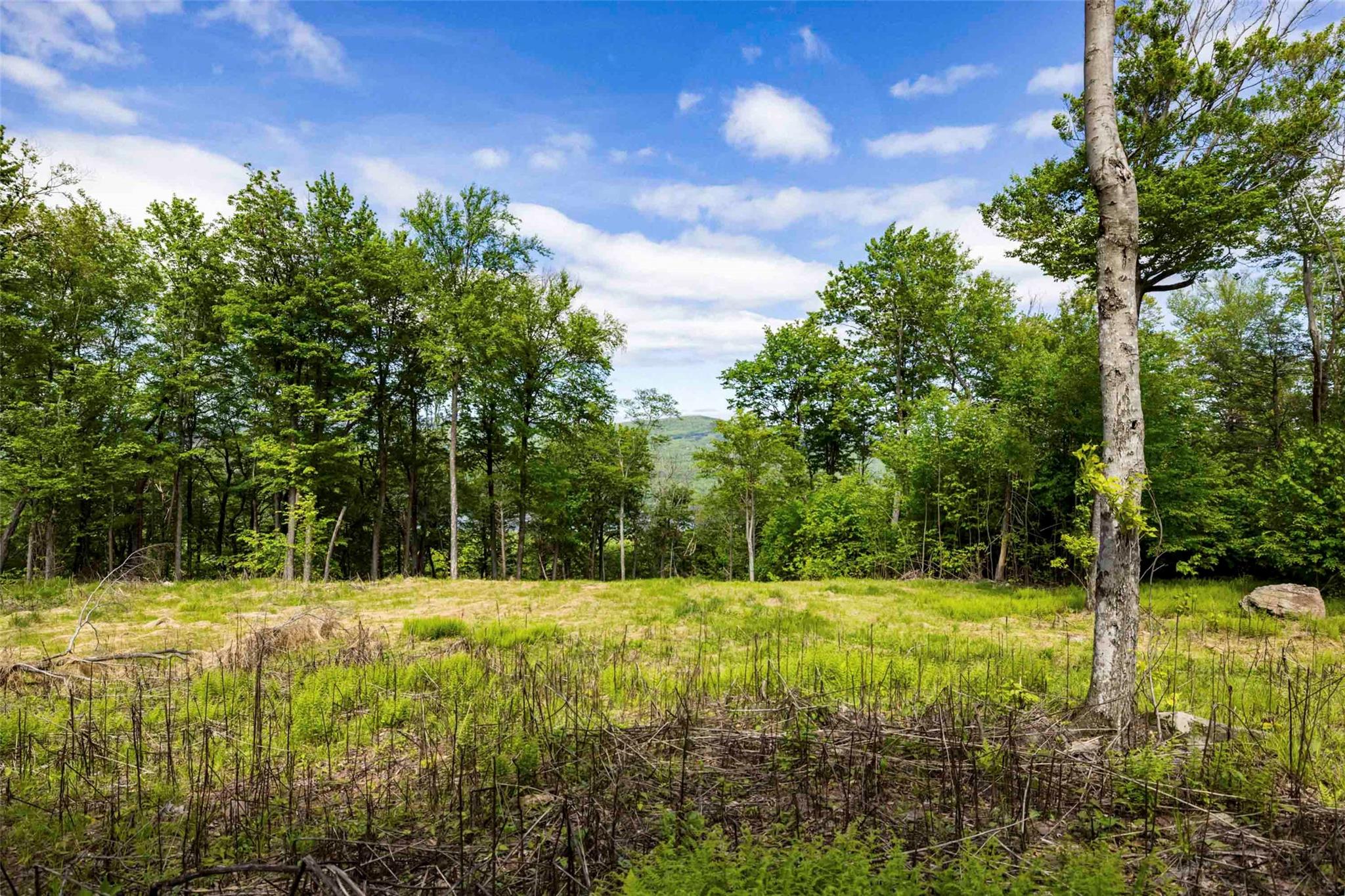 3 Red Rock Road, Wawarsing, New York image 9