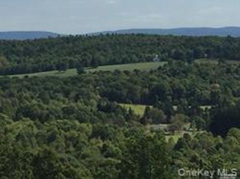 Greeley Road /Rte 27 Craryville NY 12521