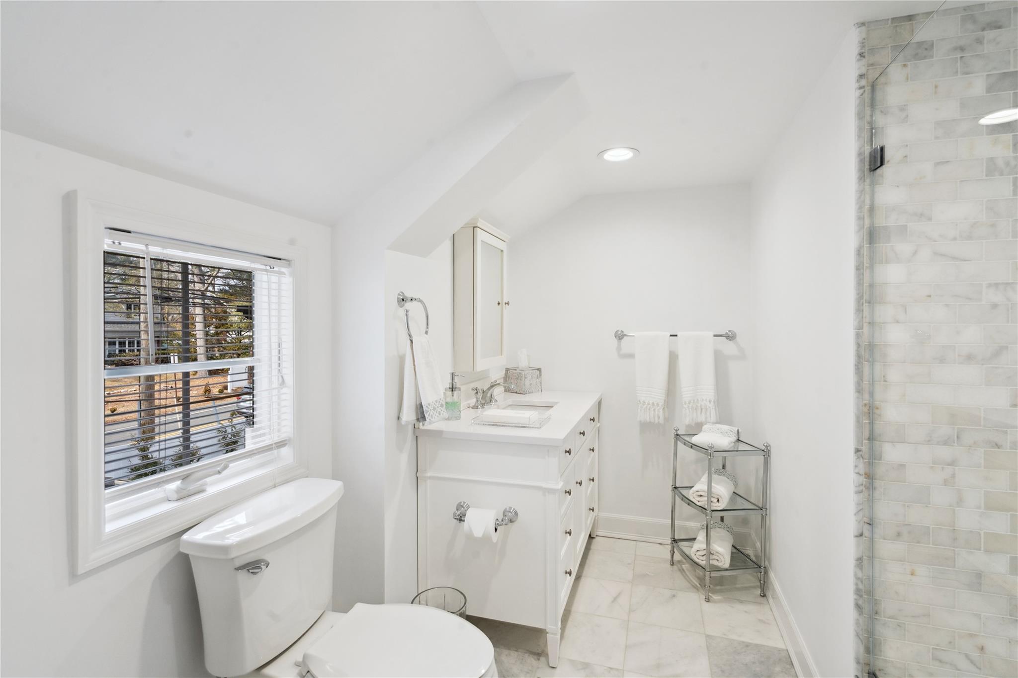 236 Berry Hill Road, Syosset, New York image 31