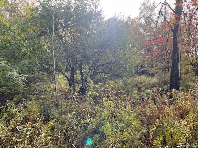 Ferndale Loomis Road NE